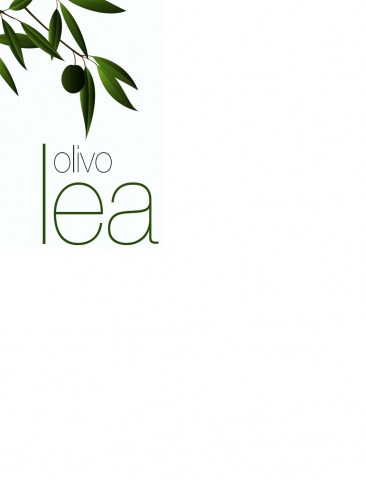 vendita pianta di olivo lea